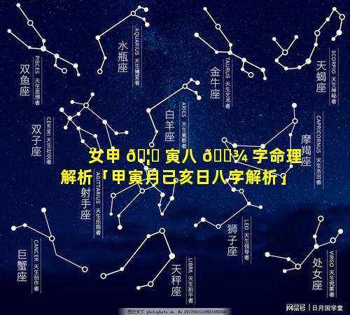 女甲 🦅 寅八 🌾 字命理解析「甲寅月己亥日八字解析」